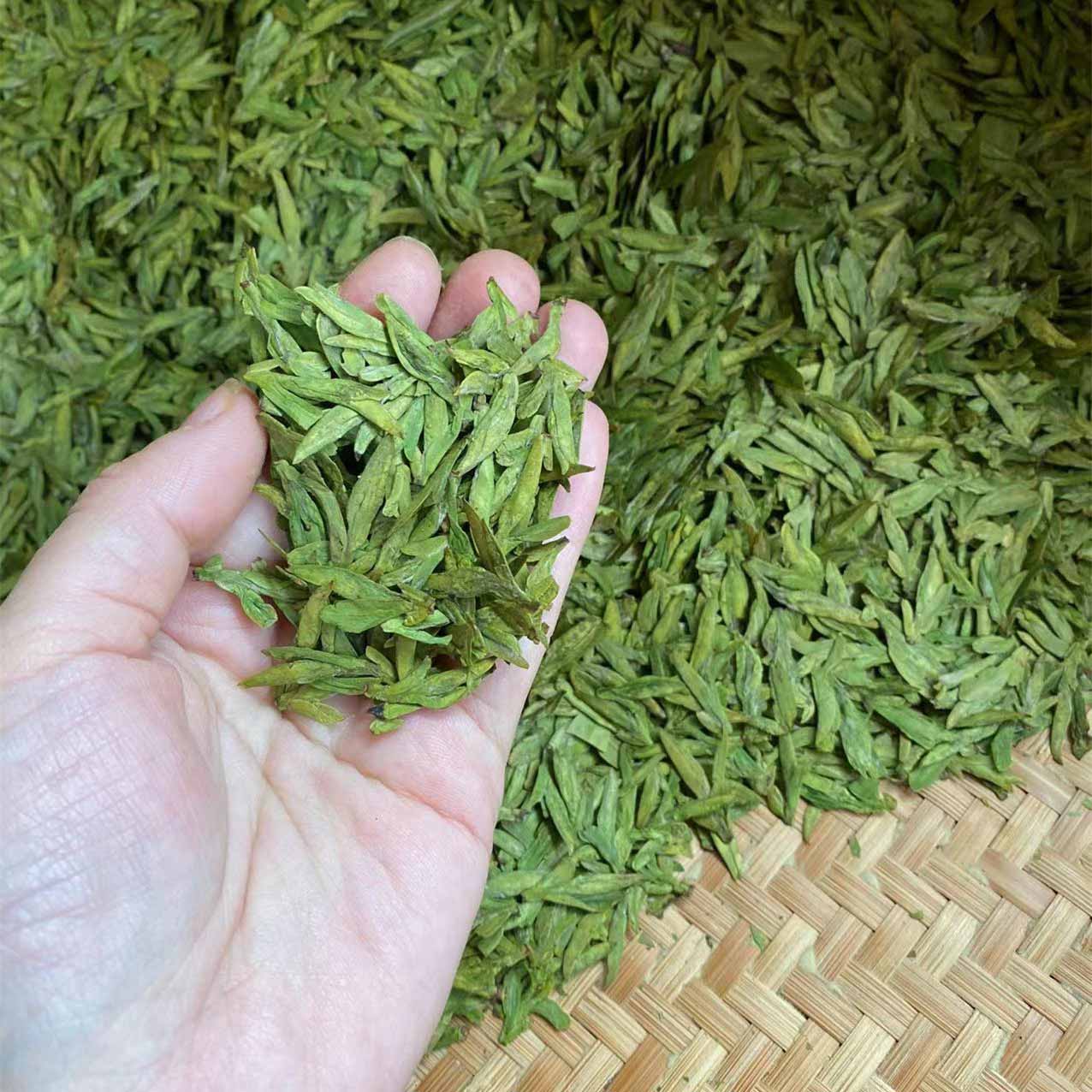 Hangzhou Ujiuzao Longjing Green Tea – 2025 First Spring Harvest · Ideal for Daily Brewing