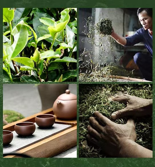 Wuyi Rougui Rock Oolong – Intense Cinnamon Aroma & Mineral Rhyme, Hand-Roasted Yancha from Core Wuyishan, 112g Tin