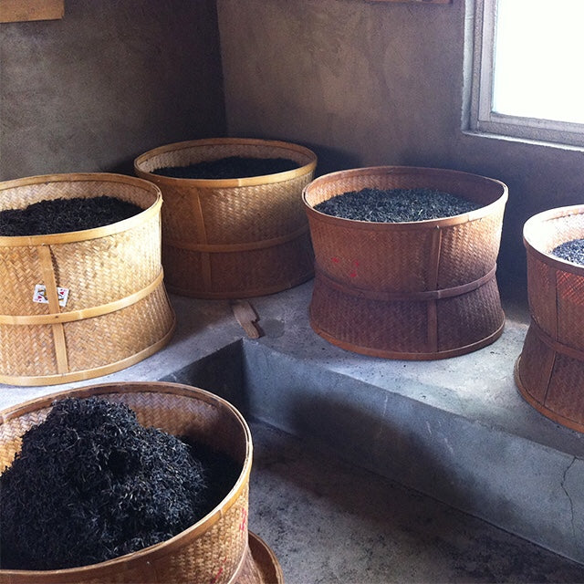 Wuyishan Laocong Shuixian Oolong – Centennial Bush, Hand-Roasted Cliff Tea from Core Wuyi Region