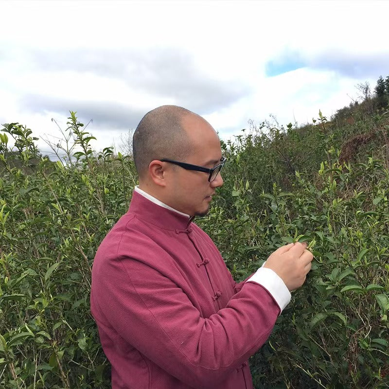 Wuyishan Tongmu Jin Jun Mei Black Tea – Handcrafted First Spring Harvest