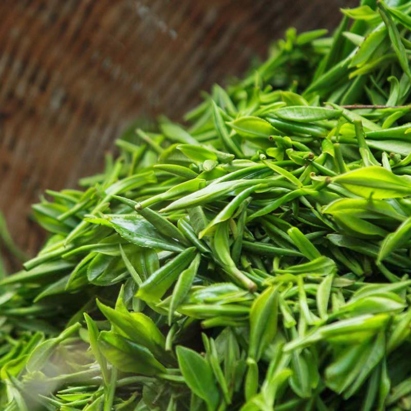 Enshi Yulu Green Tea – Premium Steamed Chinese Green Tea from Hubei,50g Tin
