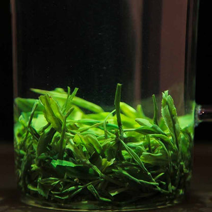 Enshi Yulu Green Tea – Premium Steamed Chinese Green Tea from Hubei,50g Tin