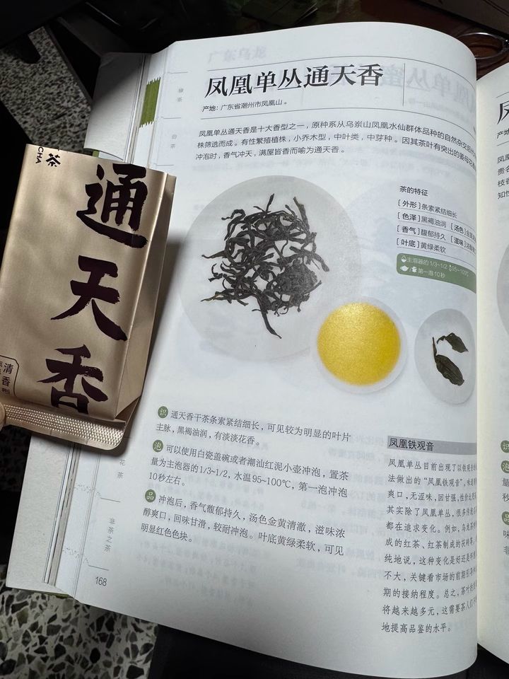 Phoenix Dancong Oolong Tea Collection – 30 Fragrant Varieties from Chaozhou Fenghuang Mountain
