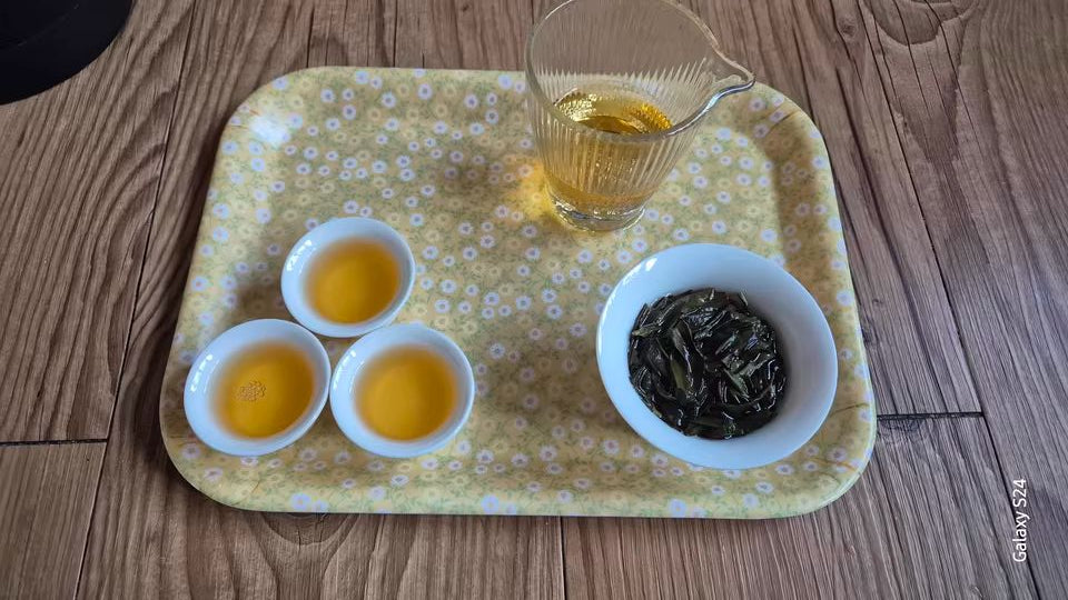 Phoenix Dancong Oolong Tea Collection – 30 Fragrant Varieties from Chaozhou Fenghuang Mountain